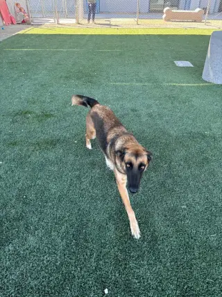 Sabrina in California