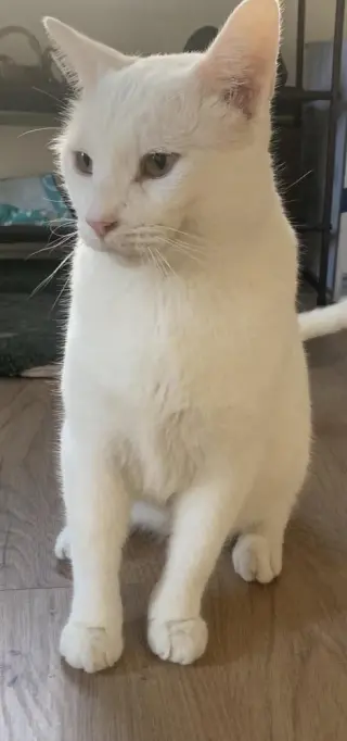 Alaska