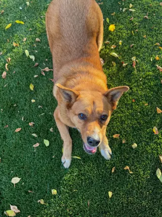 Miss Roxy