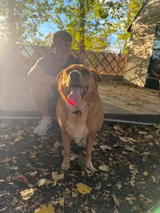Miss Roxy