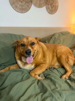 Miss Roxy