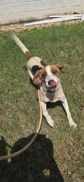 Loretta - Not at the Shelter (Wendy)