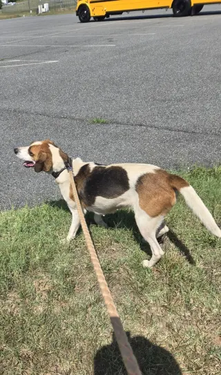 Loretta - Not at the Shelter (Wendy)