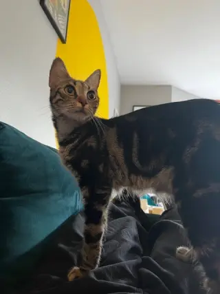 Sabrina