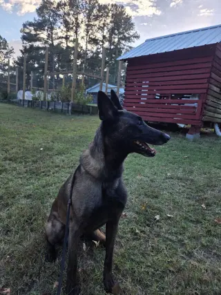 Mak - Located in North Carolina