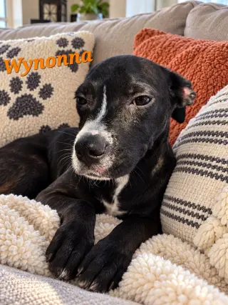 Wynona