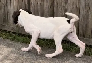Wilma~meet me!