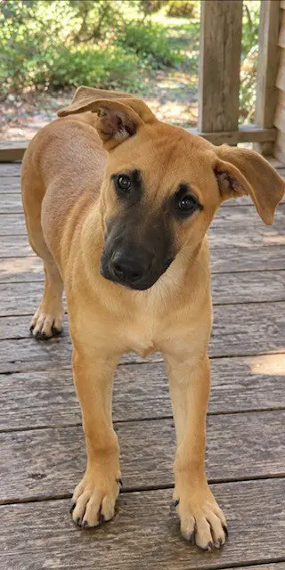 Tucker