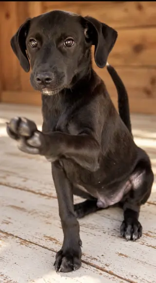 Toto ~ meet me!