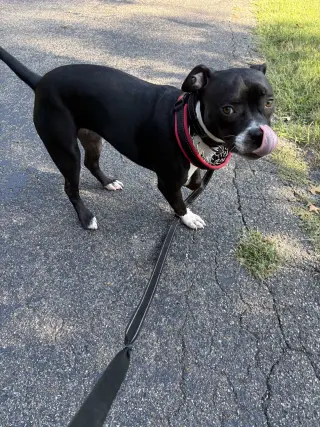 Shadow