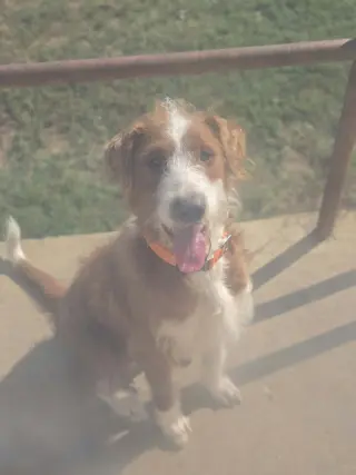 Maverick~adopted!