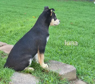 Luna ~ meet me!