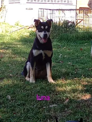Luna ~ meet me!