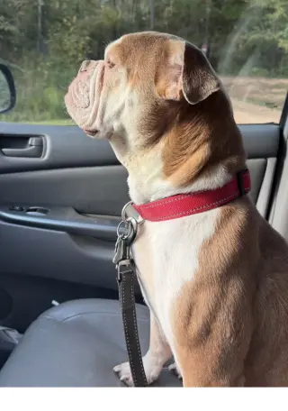Jody ~ meet me!