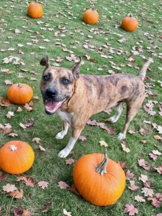 Jennings - Fall ready:)
