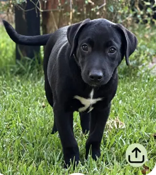 Gus~meet me!