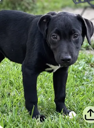 Gus~meet me!