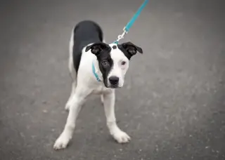 Cassius ~ meet me!