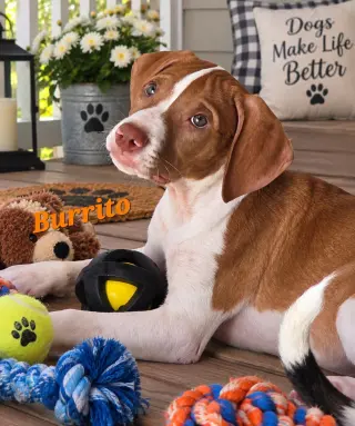 Burrito