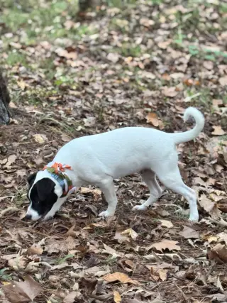 Bucky new pics/video