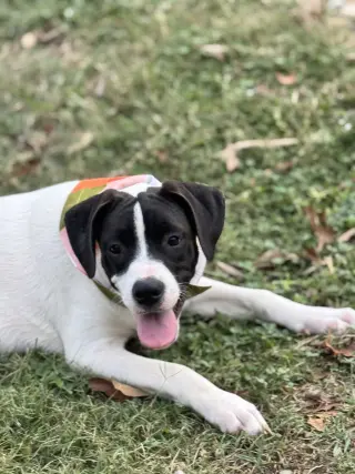 Bucky new pics/video