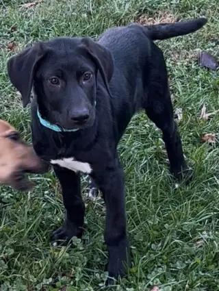 Luna