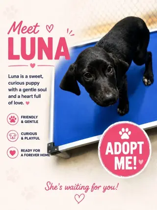Luna