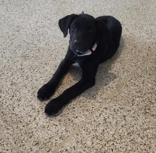 Jax
