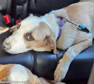 Pleekly in TN - Gives Sweet Kisses!