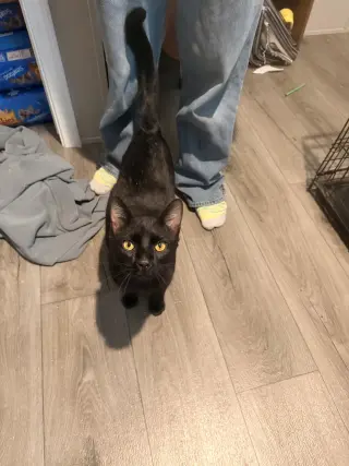 Bruce