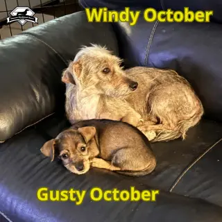 Windy October