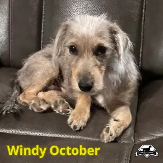 Windy October