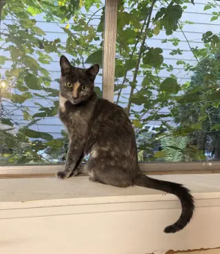 Luna Grace