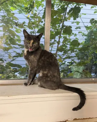 Luna Grace