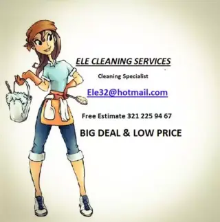 Ele cleaning services