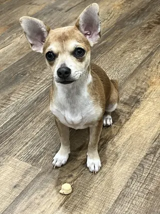 Ruby