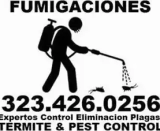 Termitas-Subterraneas-Drywood
