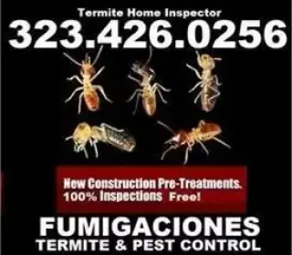 Termitas-Subterraneas-Drywood