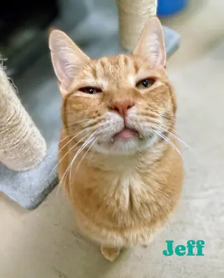 Jeff