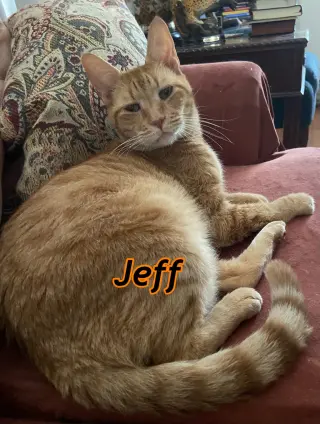 Jeff