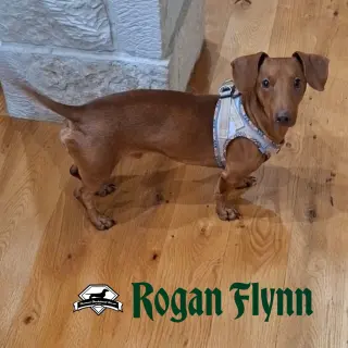 Rogan Flynn