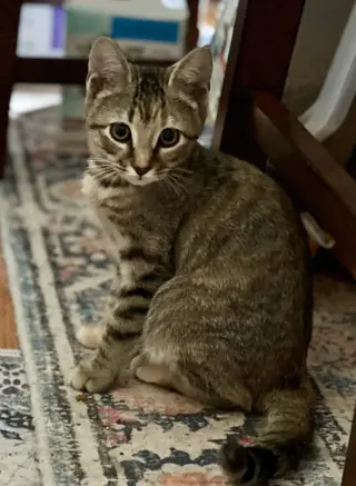 Zoe