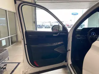 Hyundai PALISADE 2024 AWD Calligraphy 4dr SUV