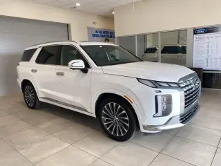 Hyundai PALISADE 2024 AWD Calligraphy 4dr SUV