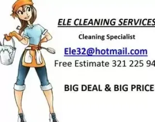 ele cleaning services