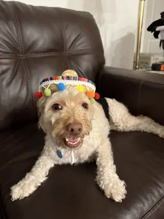 Jax
