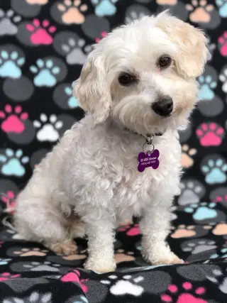 Emily
