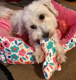 Emily