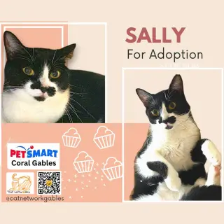 Sally