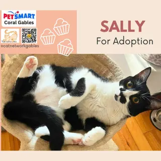 Sally